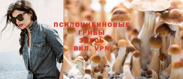 прущая мука Инта