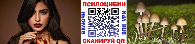 Купить где  Данков  Галлюциногенные грибы мицелий 