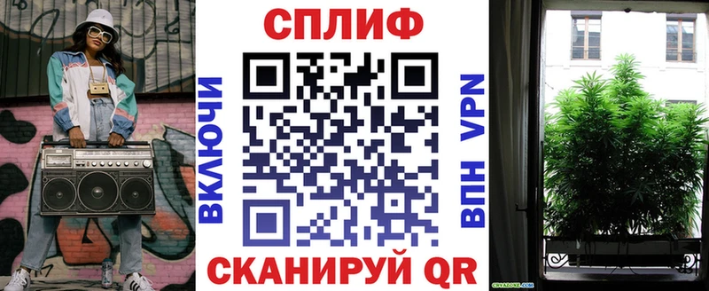 Канабис семена  Купить где  Данков 